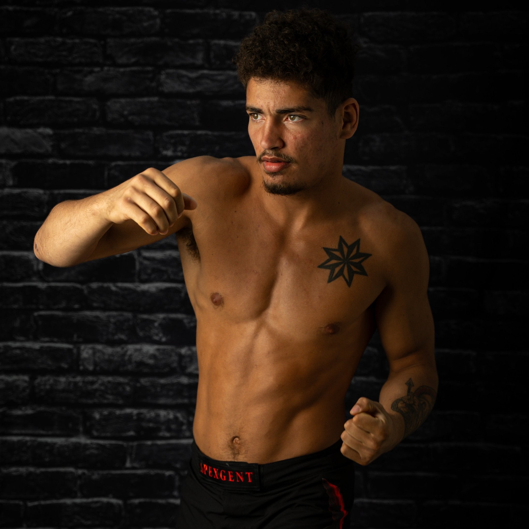 Presale - Guerreiro MMA - Shorts - Apexgent